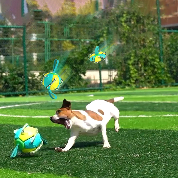 ONVERWOESTBARE 2 IN 1 HONDEN VOETBAL - VLIEGENDE FRISBEE MET TOUW